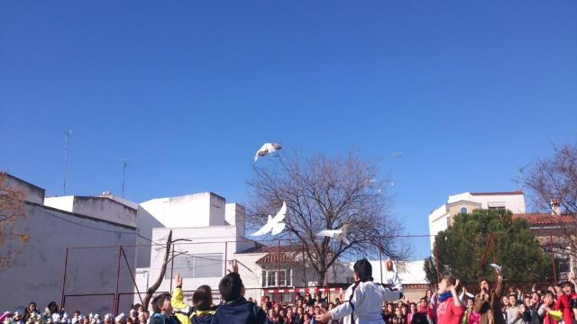 DSC 0589 1024x576